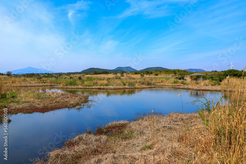 대한민국 제주도에 있는 수산 연못 이라 부르는 연못의 아름다운 풍경이다.