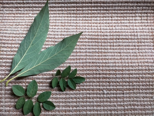 Bay leaves on karpet table