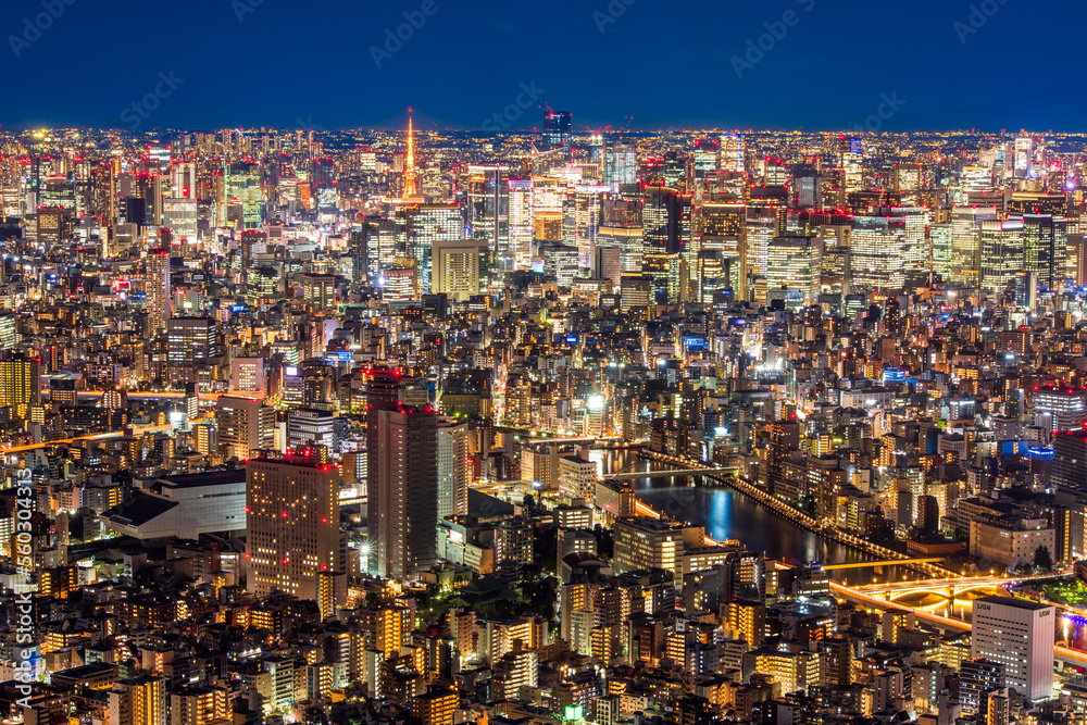Fototapeta premium 東京 スカイツリーからの夜景