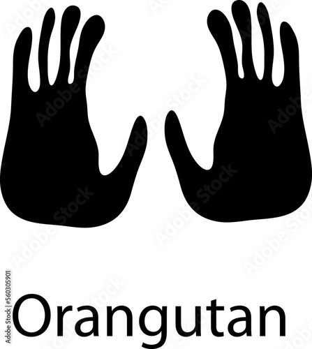 Orangutan foot print vector illustration on white background..eps