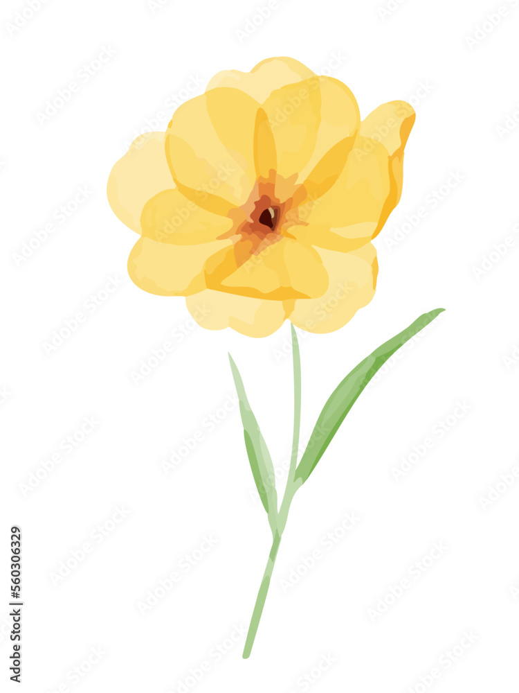 水彩で描いた黄色い花のイラスト素材