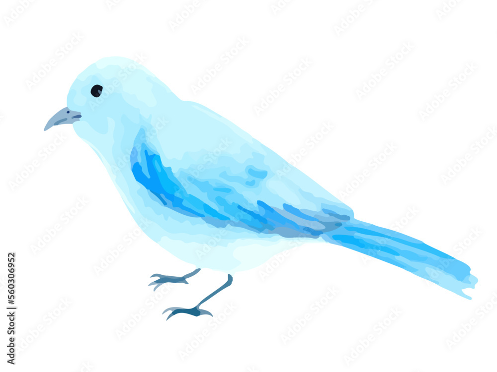 透明水彩で描いた手描きの青い小鳥のイラスト 透明水彩で描いた手描きの青い小鳥のイラスト