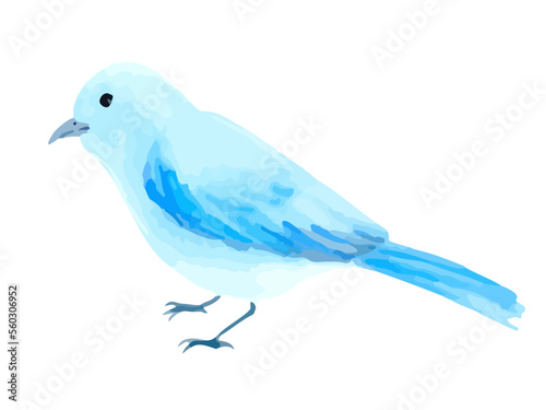 透明水彩で描いた手描きの青い小鳥のイラスト