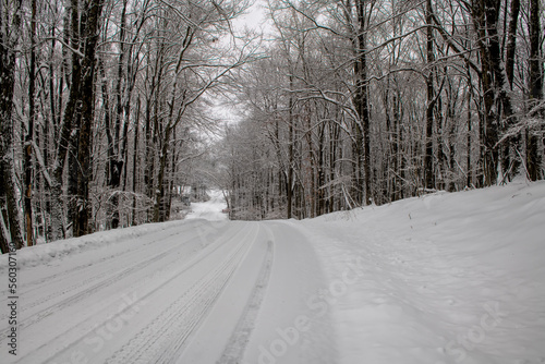 Small snow covered raod after snow storm photo