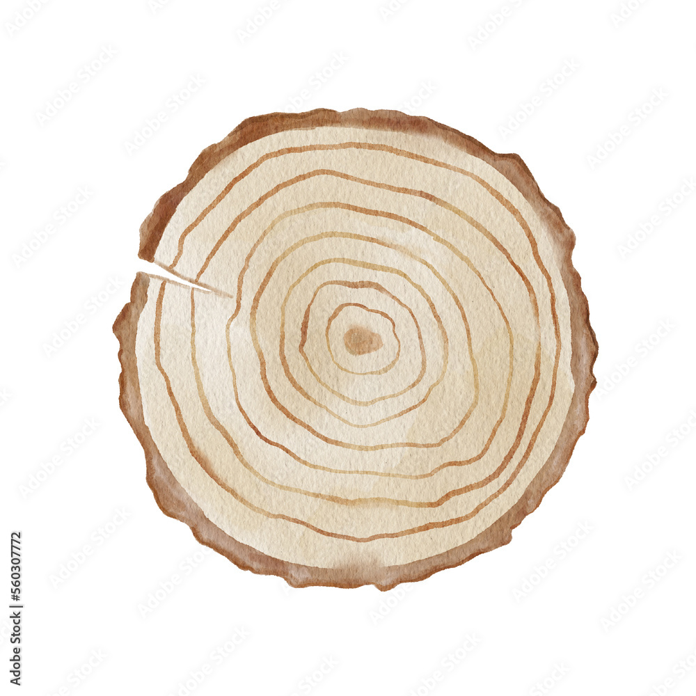 Obraz premium Wooden round panel with texture. Watercolor illustration isolated on white.