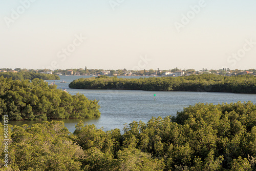 Landscape Mangroves Daytime Skyline