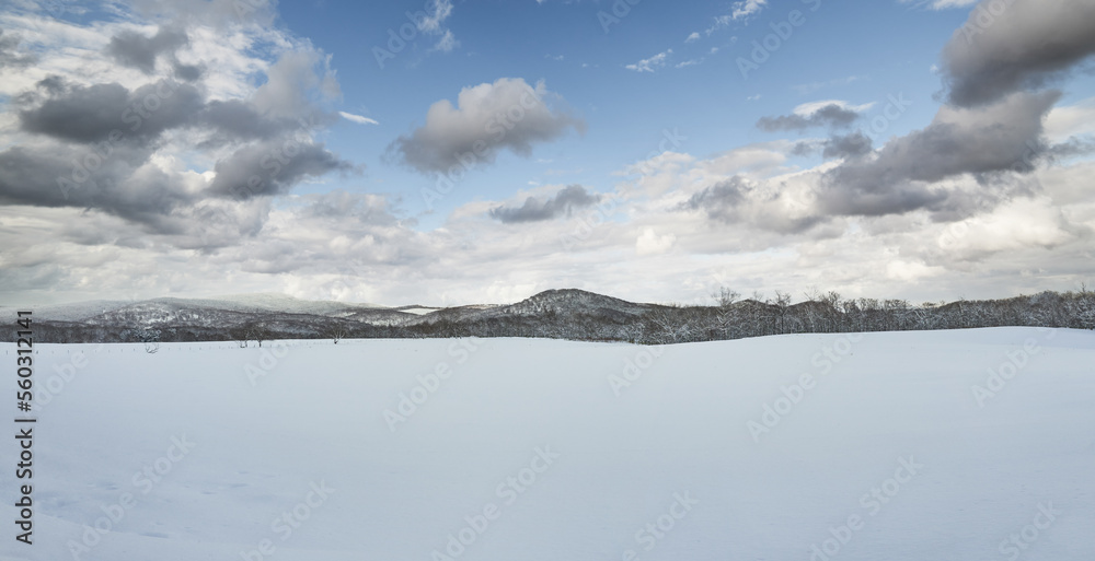 Panoramic view of snow fields landscape