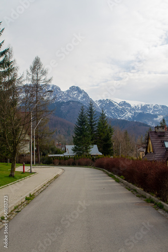 beautiful green high mountains in Poland