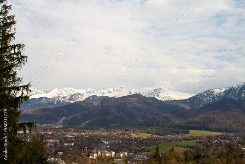 beautiful green high mountains in Poland