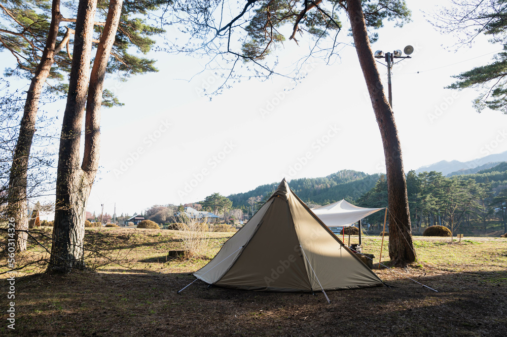 松林の中のワンポールテント　キャンプ場