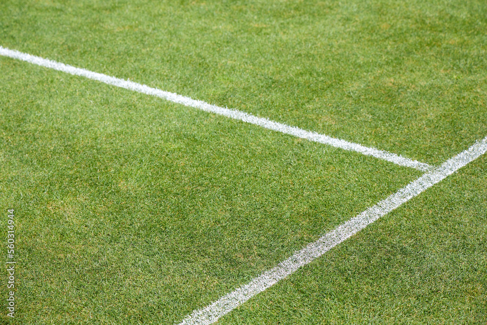 White lines on a grass tennis court