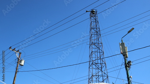 Cords of power, transformers, lamps and electric poles on the clear blue sky background. Cables. Electricity supply in the downtown city.