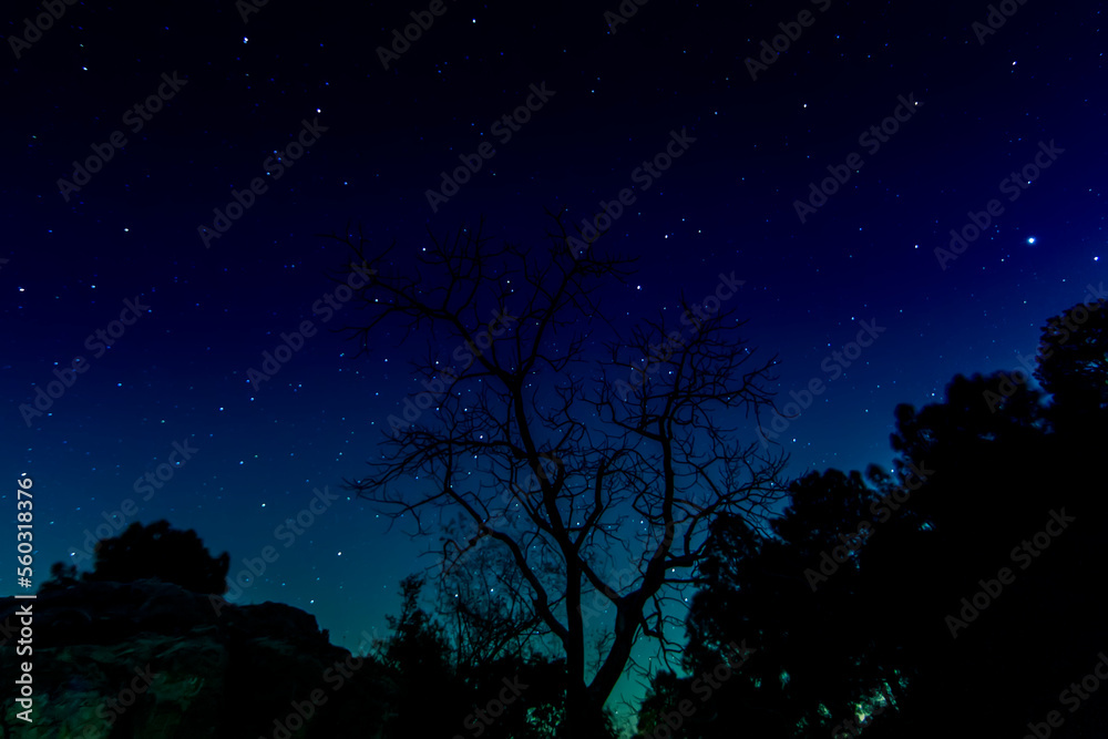 Astro photography - starry night sky
