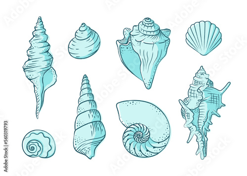 Seashells vector illustration set. Abstract boho sketch doodle style with color. Illustrations for menu, seafood restaurant design, resort hotel spa, surf boards. Wall Art Print, t shirt, phone case