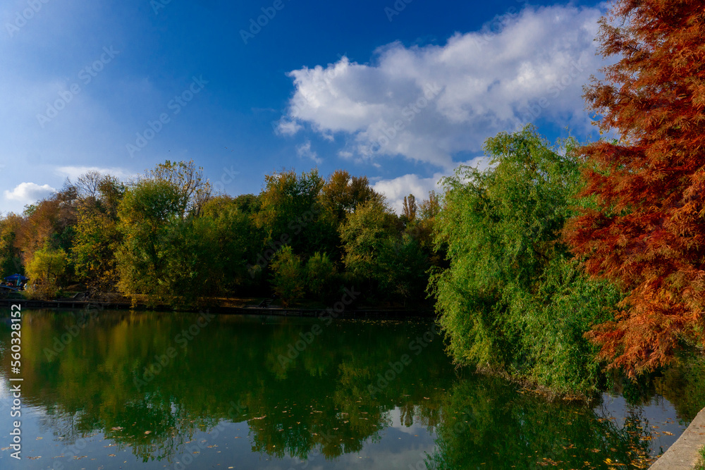 autumn in the park