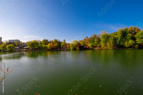 autumn landscape with lake