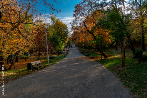 road in park © Adi