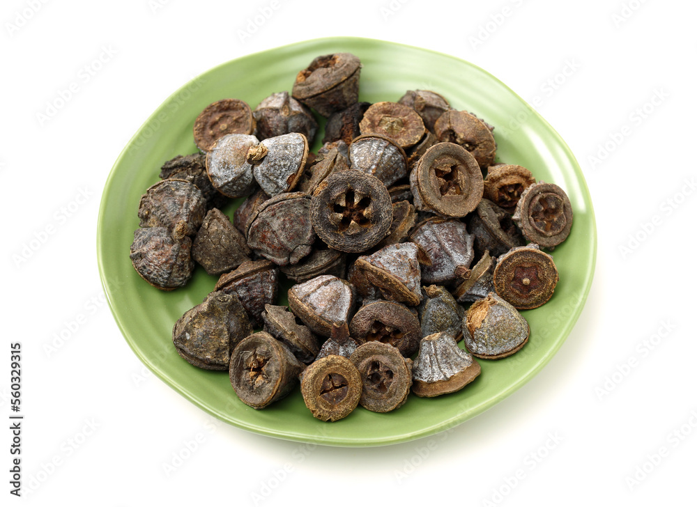 Dried fruits of eucaliptus globulus labill on white background Dried fruits of eucaliptus globulus labill on white background
