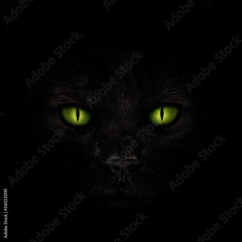 Muzzle of a black cat with glowing green eyes close-up on a blac