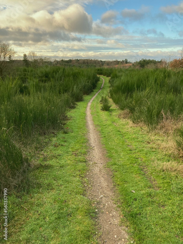 Singletrail durch eine offene Landschaft