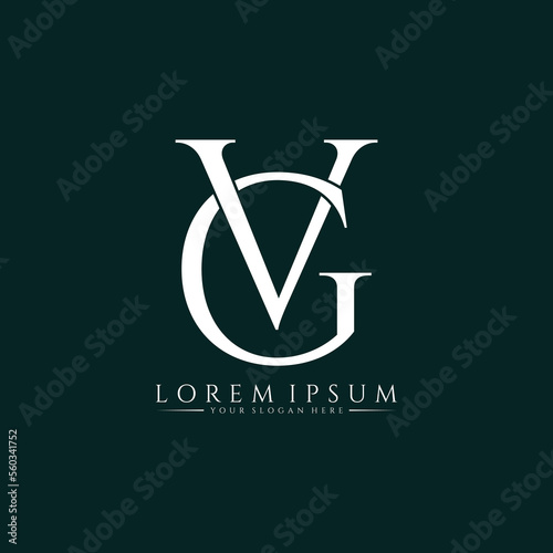 Letter VG luxury logo design vector