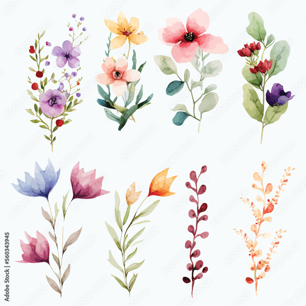 Set of ornamental floral design elements Set of ornamental floral design elements
