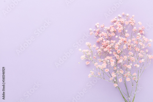 Beautiful flower background of pink gypsophila flowers. Flat lay, top view. Floral pattern.