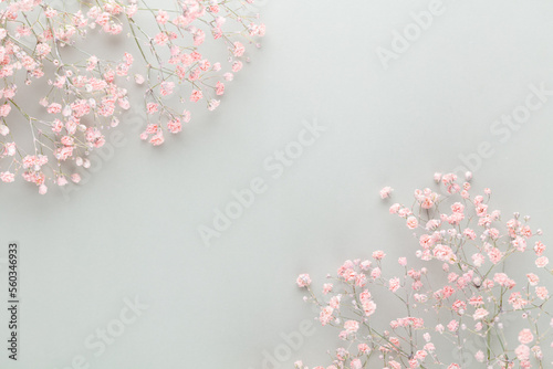 Beautiful flower background of pink gypsophila flowers. Flat lay, top view. Floral pattern.