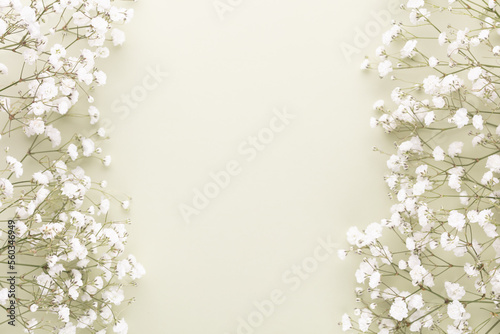 Obraz na płótnie Beautiful flower background of pink gypsophila flowers. Flat lay, top view. Floral pattern. w salonie