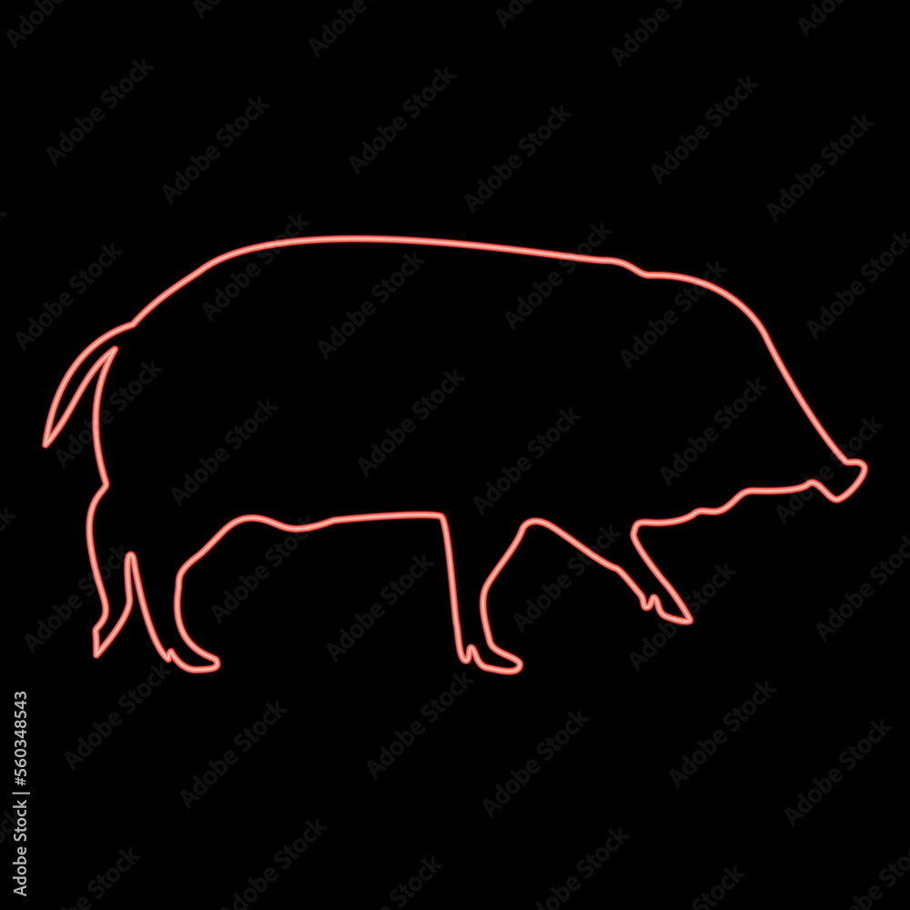 Neon wild boar Hog wart Swine Suidae Sus Tusker Scrofa red color vector illustration image flat style Neon wild boar Hog wart Swine Suidae Sus Tusker Scrofa red color vector illustration image flat style