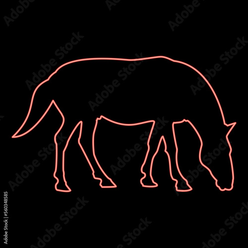 Neon steed Horse Equestrian Equine Stallion thoroughbred Mustang red color vector illustration image flat style