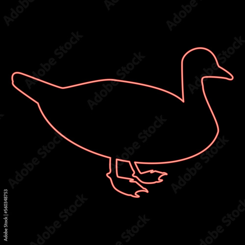 Neon duck Male mallard Bird Waterbird Waterfowl Poultry Fowl Canard red color vector illustration image flat style photo