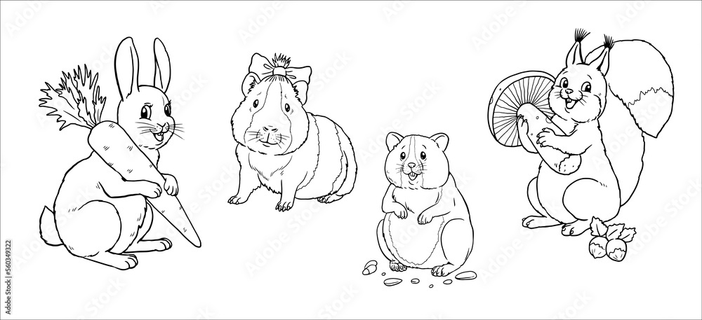 Cute rabbit, squirrel, hamster and guinea pig to color in. Vector template for a coloring book with funny animals. Coloring template for kids.