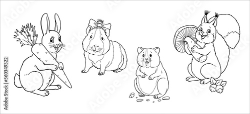 Cute rabbit  squirrel  hamster and guinea pig to color in. Vector template for a coloring book with funny animals. Coloring template for kids.