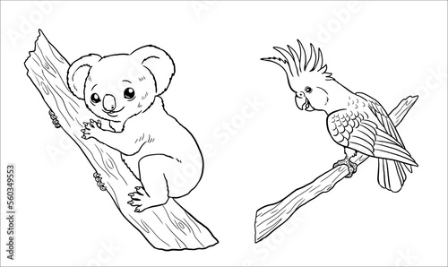 Cute koala and cockatoo for coloring. Vector template for a coloring book with funny animals. Coloring template for kids.