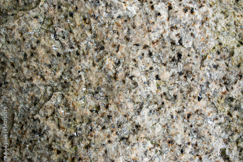 biotite granite stone with visible details photo