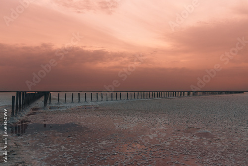 Fototapeta Naklejka Na Ścianę i Meble -  Beautiful view of pink salt lake in Kherson region, Ukraine, Europe. Bright wallpapers. Scenic photography of nature. Amazing seascape. Wooden poles in the water of a pink lake