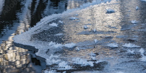 Frozen and icy part of the river in winter makes a layer of ice near the shore, snowflakes are like fluffy needles, reflection of the winter forest in the water of the river
