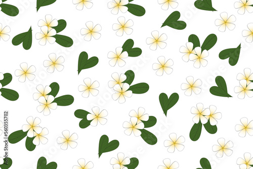 Illustration of Frangipani, Pumeria flower with leaves on white background.