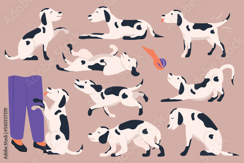 Dog body language set concept without people scene in the flat cartoon style. Image of a large number of Dalmatian dogs. Vector illustration.