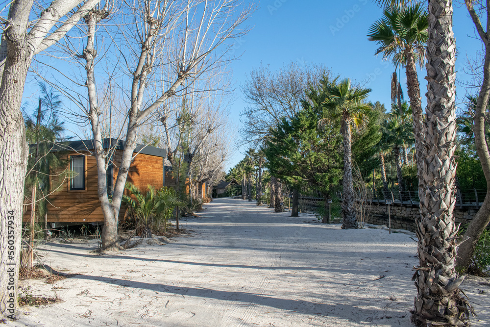 Port Grimaud camping trees and paths day time Port Grimaud camping trees and paths day time