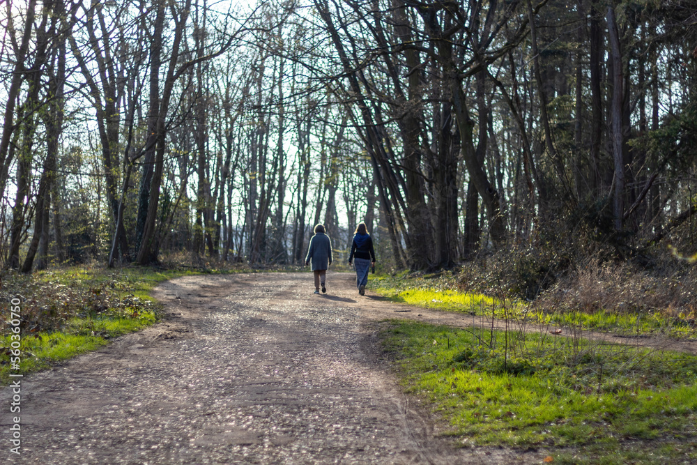 walking in the woods