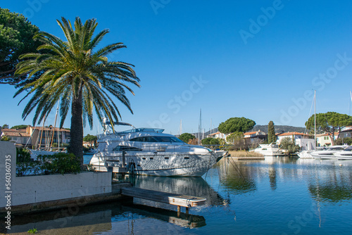 Port grimaud hotels boats and river with palm tree © Donatas