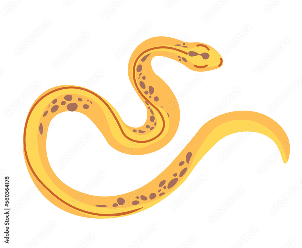 Naklejka premium Tropical reptiles and serpents, yellow snakes