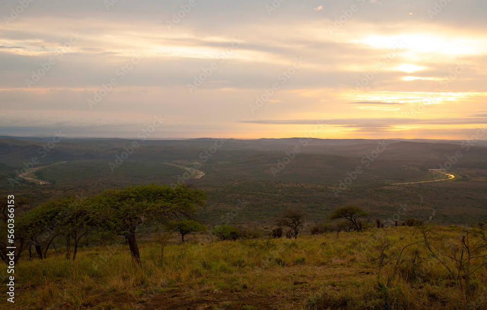 A large number of wild animals live in the Hluhluwe İmfolozi National Park in South Africa. A sunrise view in İmfolozi