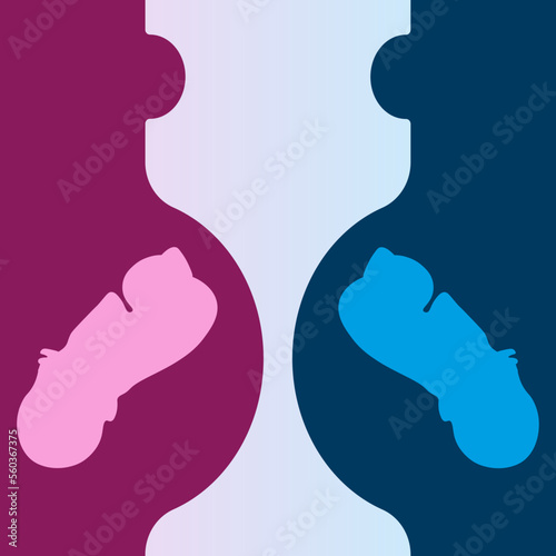 Banner for the perinatal center with the image of a baby in the mother's stomach. A pregnant woman with a baby in the womb. Website poster for a women's consultation.