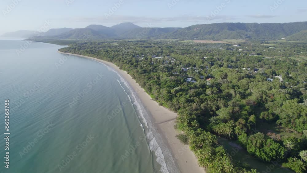 Lush Palm Trees At Seacoast Of Four Mile Beach In Port Douglas, Queensland, Australia. Aerial Wide Shot Lush Palm Trees At Seacoast Of Four Mile Beach In Port Douglas, Queensland, Australia. Aerial Wide Shot