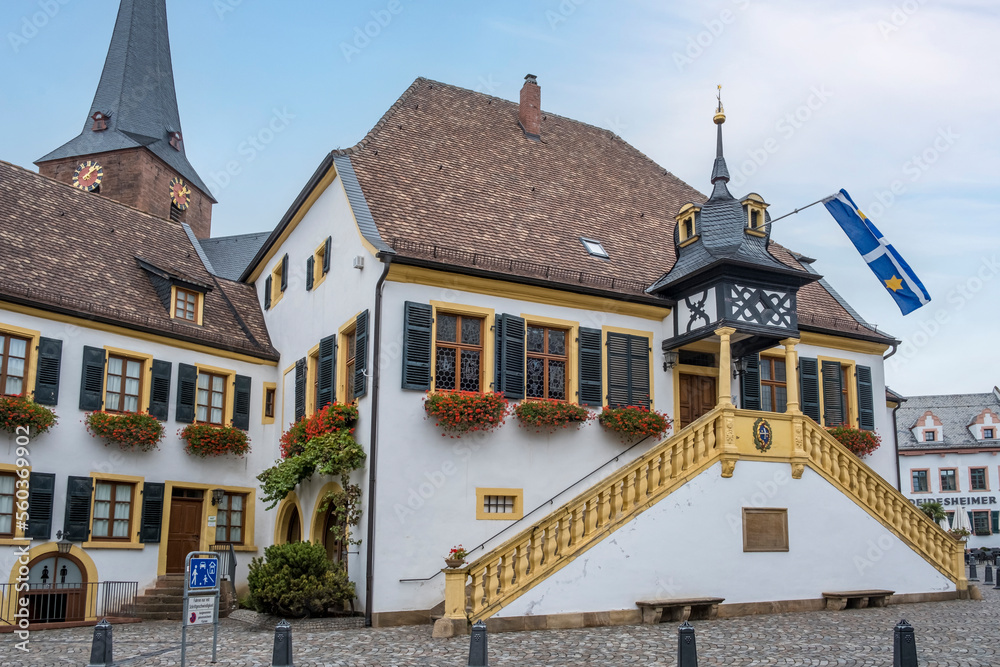 Obraz premium Historisches Rathaus Deidesheim
