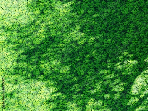 green moss background texture