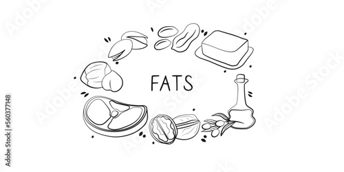 Fats-containing food. Groups of healthy products containing vitamins and minerals. Set of fruits, vegetables, meats, fish and dairy